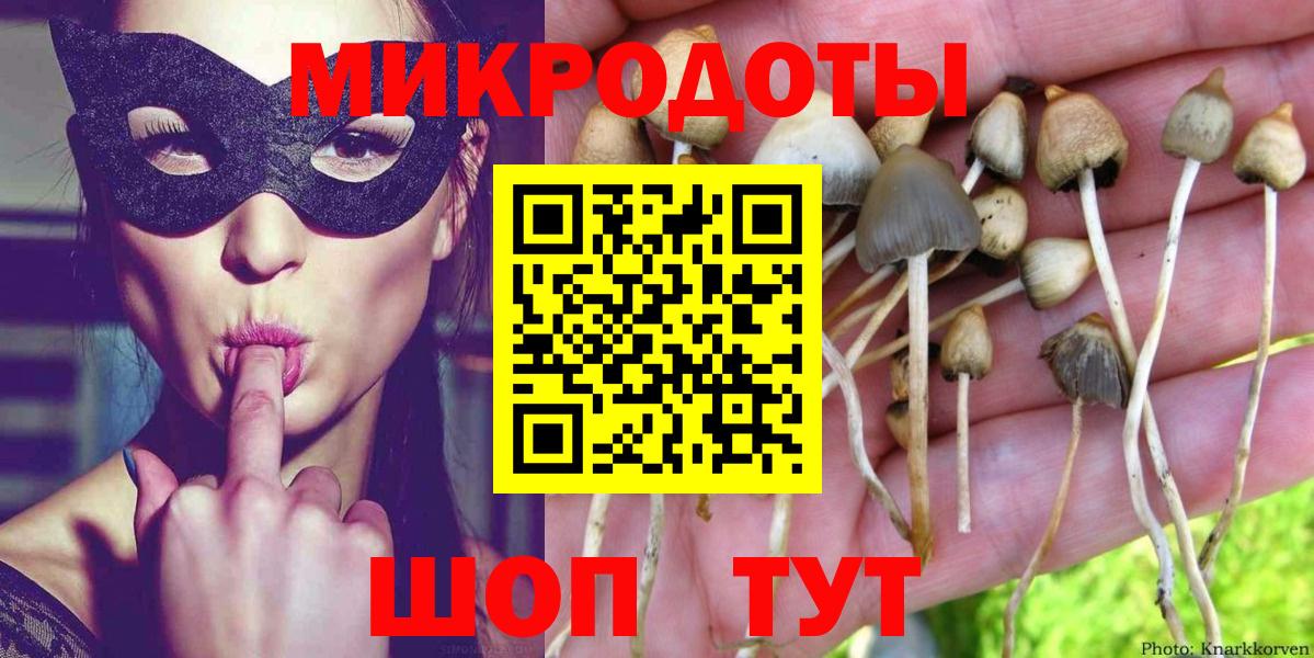 Галлюциногенные грибы мицелий Дивногорск