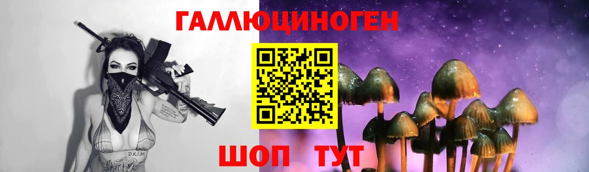 Галлюциногенные грибы мухоморы  сколько стоит  Галлюциногенные грибы прущие грибы  Дивногорск  Вход с VPN 
